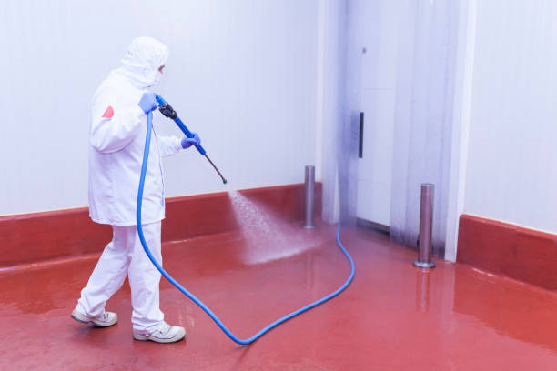 Best Winterizing Services  in Seguin, TX