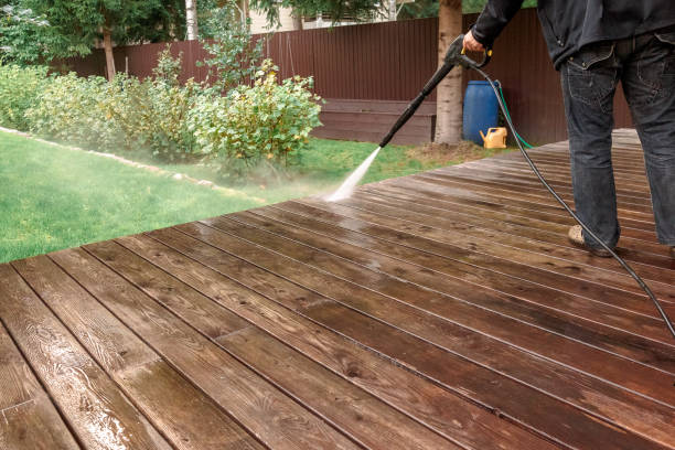 Best Sidewalk and Walkway Cleaning  in Seguin, TX